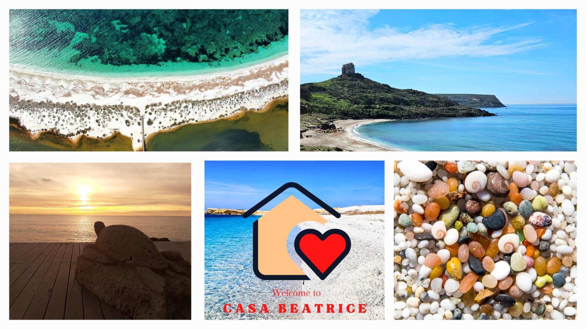 Casa Beatrice Daire Càbras Dış mekan fotoğraf